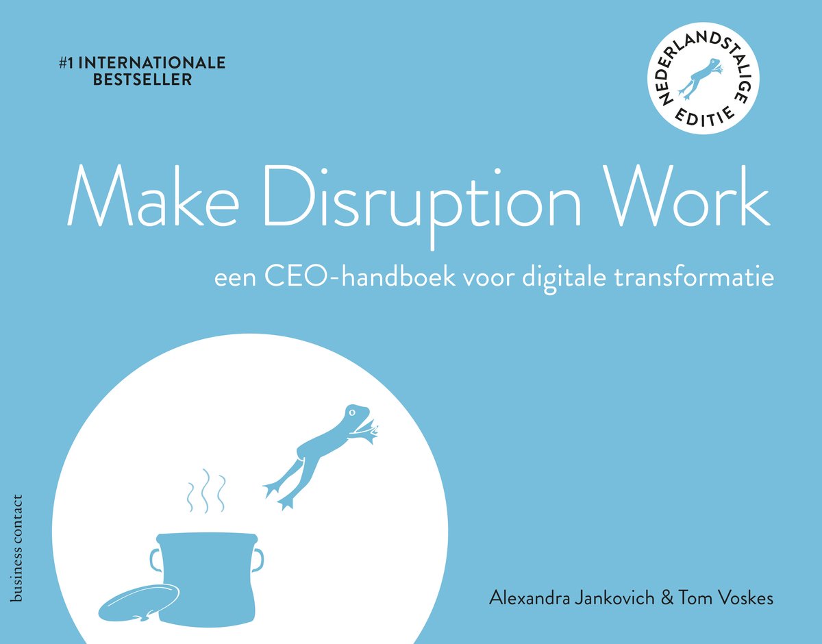 Cover van Make Disruption Work van Alexandra Jankovich